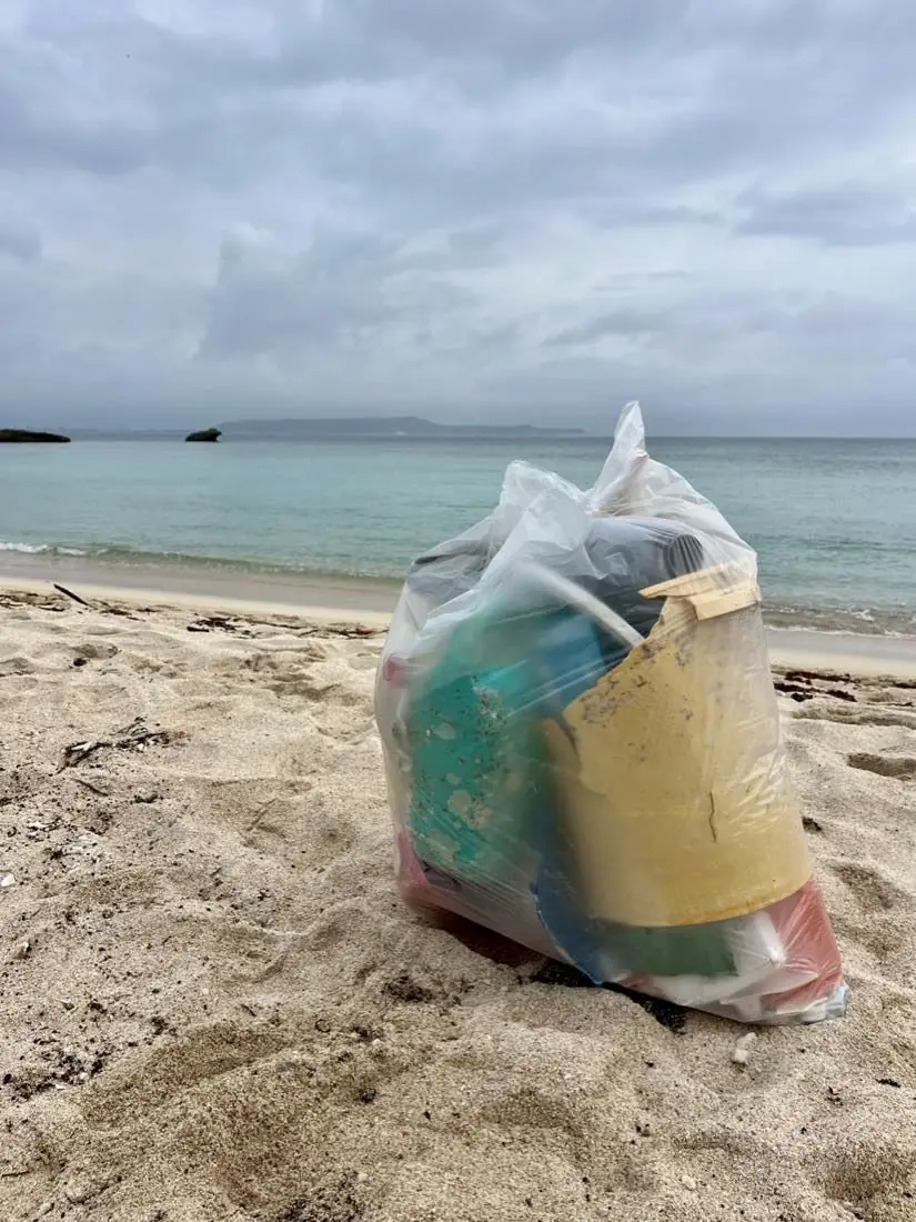 浜辺に置かれた、回収したごみでいっぱいの袋と、その向こうに広がる海