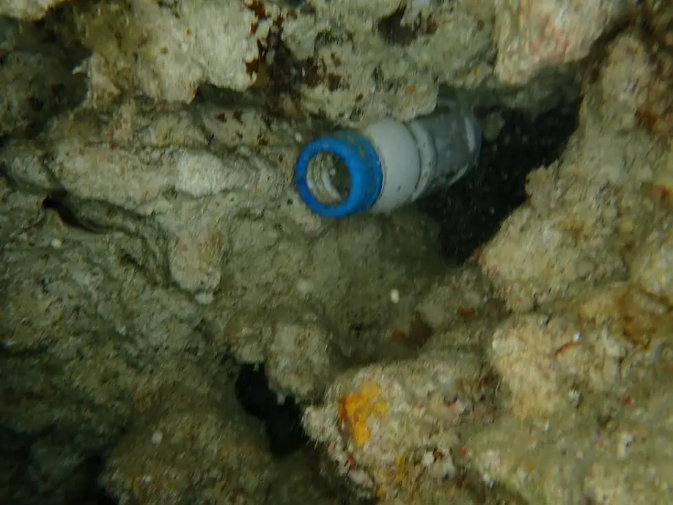 岩のすきまに挟まったまま放置されたプラスチックの容器