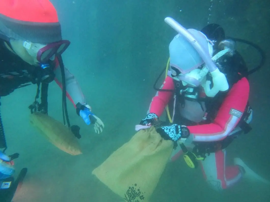 海中でポーチを手にごみを回収している2人のダイバー