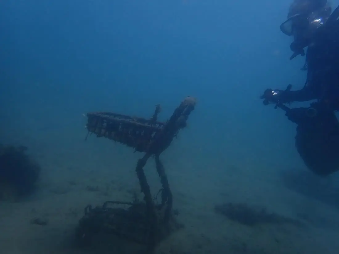 海底に沈んで生きものに覆われたショッピングカートと、それを見つめるダイバー